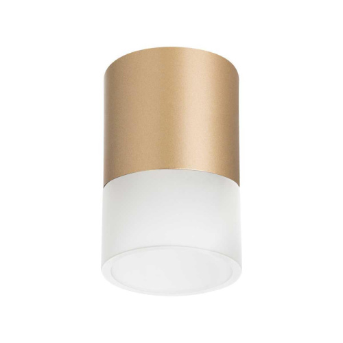 Потолочный светильник Lightstar Rullo (213490+202481) R349081 Потолочный светильник Lightstar Rullo (213490+202481) R349081