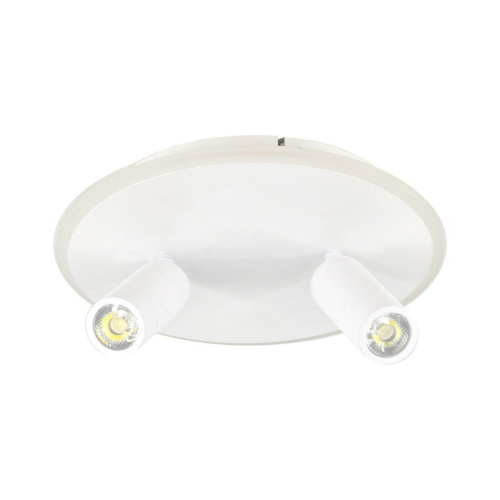 Потолочный светодиодный светильник Escada 20046SMA/02LED WH Потолочный светодиодный светильник Escada 20046SMA/02LED WH