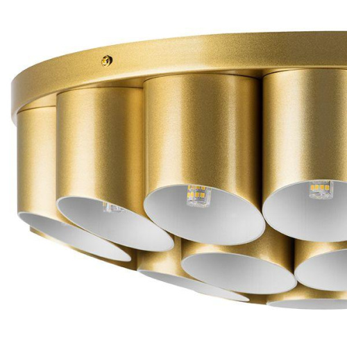 Потолочная люстра Lightstar Siena 720222 Потолочная люстра Lightstar Siena 720222