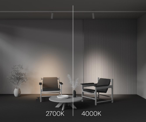 Трековый светильник Technical TR198-3-20W2.7K-Z-W Трековый светильник Technical TR198-3-20W2.7K-Z-W