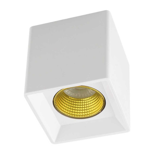 Потолочный светильник Denkirs DK3020WYE DK3080-WH+YE Потолочный светильник Denkirs DK3020WYE DK3080-WH+YE