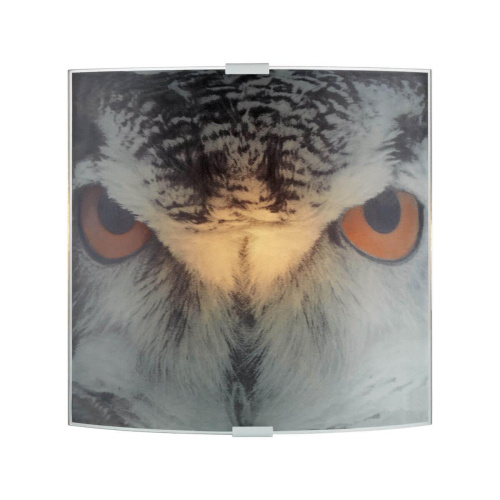 Настенный светильник Markslojd Owl 105242 Настенный светильник Markslojd Owl 105242