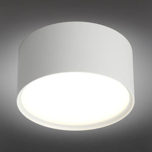 Потолочный светодиодный светильник Omnilux Salentino OML-100909-12 Потолочный светодиодный светильник Omnilux Salentino OML-100909-12