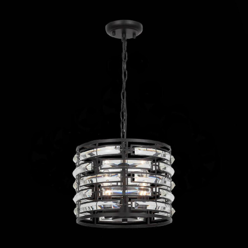 Подвесная люстра ST Luce Chiarezza SL665.403.04 Подвесная люстра ST Luce Chiarezza SL665.403.04