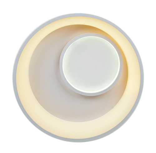Потолочный светодиодный светильник Escada 10207/2LED