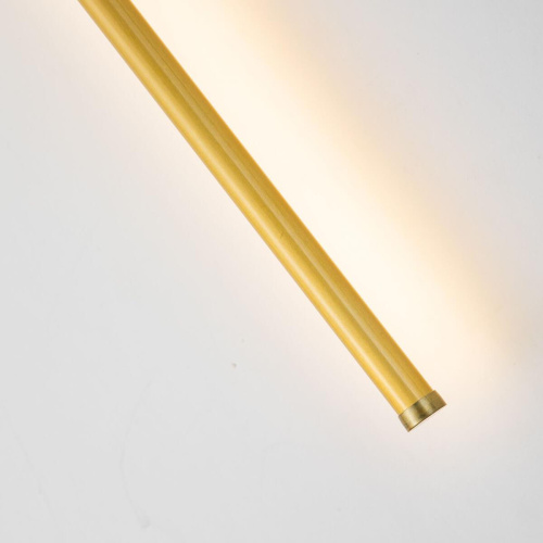 Настенный светодиодный светильник Favourite Reed 3001-3W Настенный светодиодный светильник Favourite Reed 3001-3W