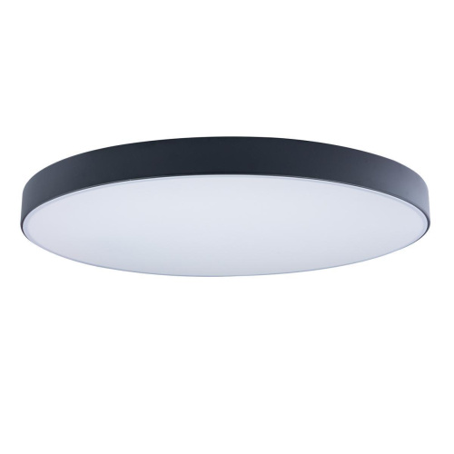 Потолочный светодиодный светильник Loft IT Axel 10002/48 black Потолочный светодиодный светильник Loft IT Axel 10002/48 black