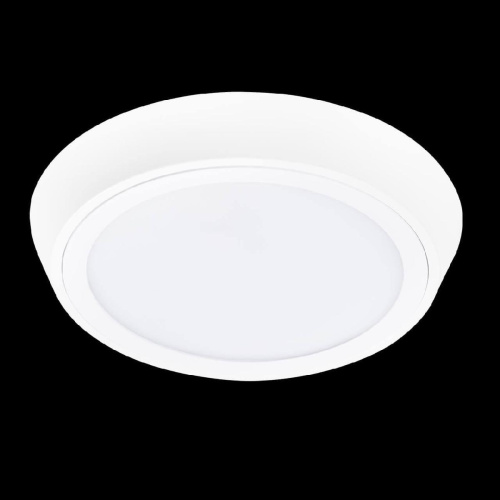 Потолочный светодиодный светильник Lightstar Urbano 216904 Потолочный светодиодный светильник Lightstar Urbano 216904