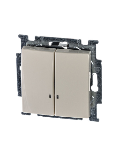 Выключатель двухклавишный ABB Basic55 10A 250V с подсветкой слоновая кость 2CKA001012A2157 Выключатель двухклавишный ABB Basic55 10A 250V с подсветкой слоновая кость 2CKA001012A2157