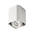 Накладной точечный светильник Kanlux TOLEO DTL50-W 26114