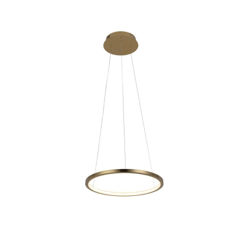 Подвесной светодиодный светильник Loft IT Ring 10014S Подвесной светодиодный светильник Loft IT Ring 10014S