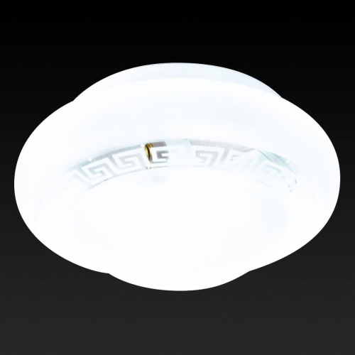 Потолочный светильник Toplight Betty TL9591Y-01WH Потолочный светильник Toplight Betty TL9591Y-01WH