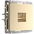 Розетка Werkel Ethernet RJ-45 шампань W1181011 4690389157479