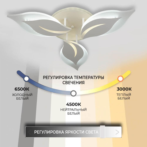 Потолочная люстра Seven Fires Omenya 75391.01.09.03 Потолочная люстра Seven Fires Omenya 75391.01.09.03