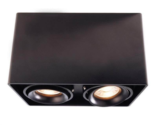 Накладной светильник Deko-Light Mona II 348005 Накладной светильник Deko-Light Mona II 348005