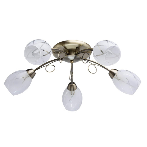 Потолочная люстра MW-Light Грация 358011505 Потолочная люстра MW-Light Грация 358011505