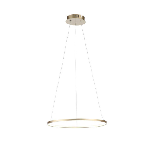 Подвесной светодиодный светильник ST Luce Erto SL904.203.01 Подвесной светодиодный светильник ST Luce Erto SL904.203.01