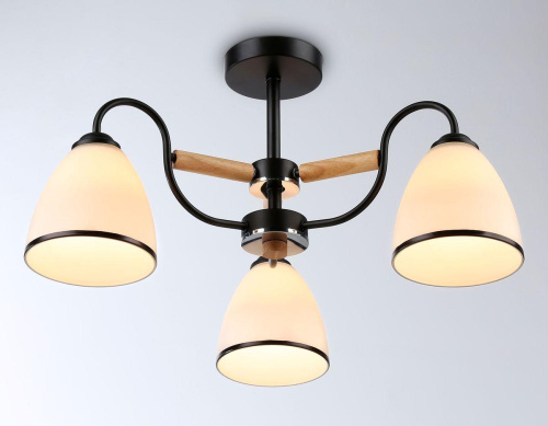 Потолочная люстра Ambrella light Traditional Modern TR3033241 Потолочная люстра Ambrella light Traditional Modern TR3033241