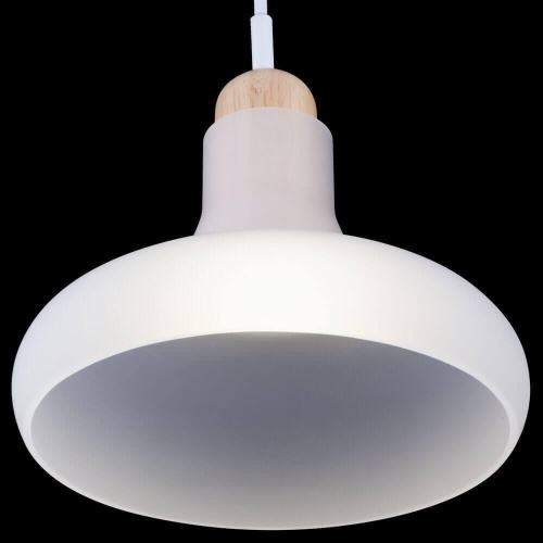 Подвесной светильник Maytoni Ola P016PL-01W Подвесной светильник Maytoni Ola P016PL-01W