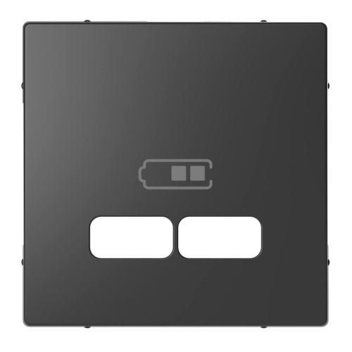 Накладка Schneider Electric Merten D-Life MTN4367-6034 Накладка Schneider Electric Merten D-Life MTN4367-6034