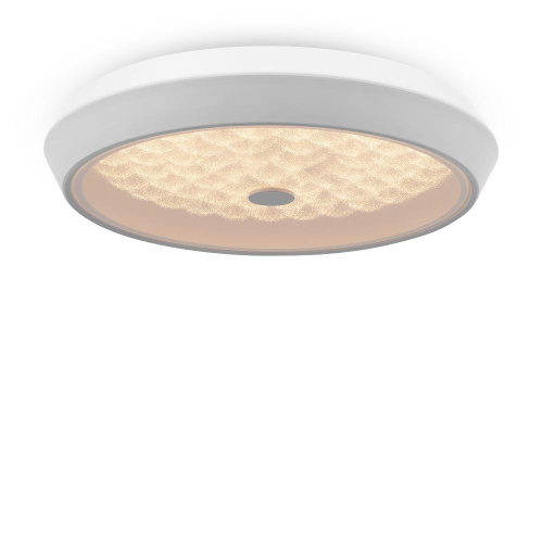 Потолочный светодиодный светильник Freya Cells FR10012CL-L24W Потолочный светодиодный светильник Freya Cells FR10012CL-L24W