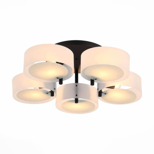 Потолочная люстра Evoluce Foresta SL483.402.05 Потолочная люстра Evoluce Foresta SL483.402.05