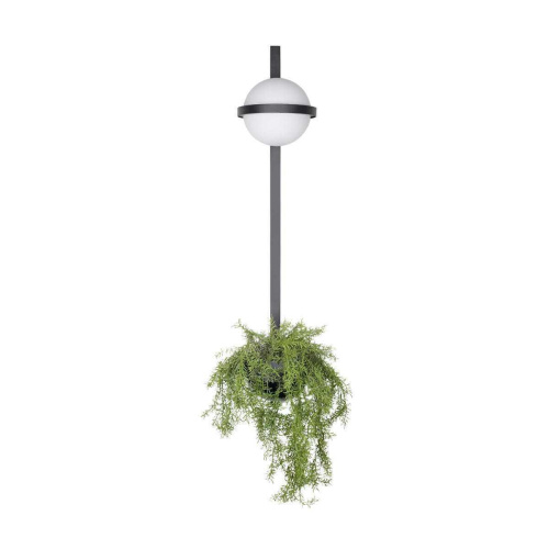 Настенный светильник LOFT IT Jardin 10121W/B Настенный светильник LOFT IT Jardin 10121W/B