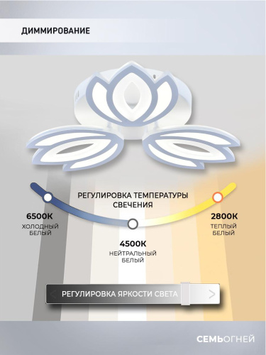 Потолочная светодиодная люстра Seven Fires Erdin SF5043/3C-WT Потолочная светодиодная люстра Seven Fires Erdin SF5043/3C-WT