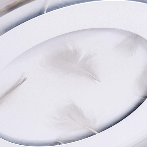 Потолочный светодиодный светильник Arte Lamp Multi-Piuma A1397PL-1CL Потолочный светодиодный светильник Arte Lamp Multi-Piuma A1397PL-1CL