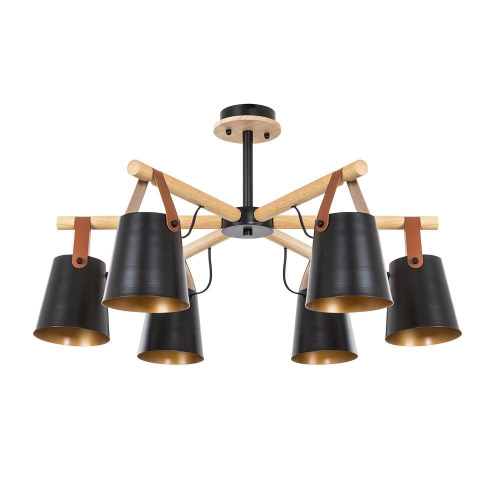 Потолочная люстра Arte Lamp THOMAS A7032PL-6BK Потолочная люстра Arte Lamp THOMAS A7032PL-6BK