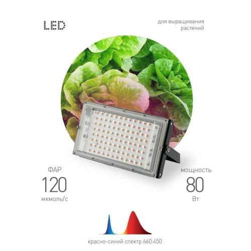 Прожектор светодиодный для растений ЭРА 50W 1310K Fito-80W-RB-Led-Y Б0053082 Прожектор светодиодный для растений ЭРА 50W 1310K Fito-80W-RB-Led-Y Б0053082