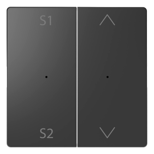 Клавиша двойная Schneider Electric Merten D-Life MTN5227-6034 Клавиша двойная Schneider Electric Merten D-Life MTN5227-6034