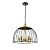 Подвесная люстра Vele Luce Florian VL5062P05