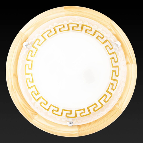 Настенный светильник Toplight Gien TL9173Y-02PN Настенный светильник Toplight Gien TL9173Y-02PN
