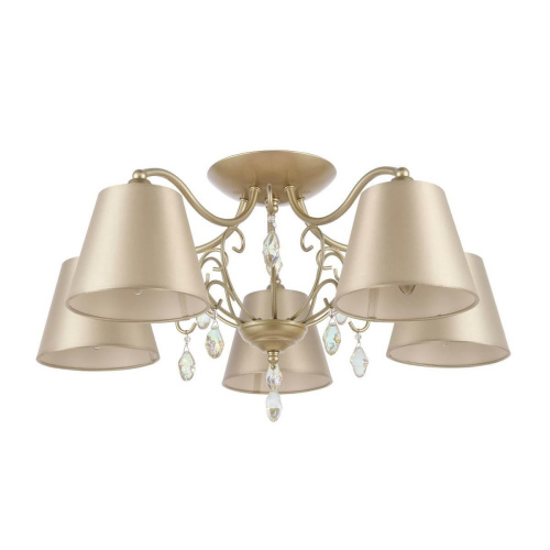 Потолочная люстра Evoluce Rimonio SL1135.102.05 Потолочная люстра Evoluce Rimonio SL1135.102.05