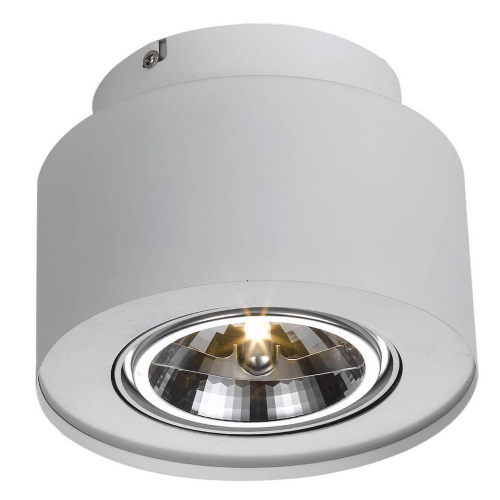 Потолочный светильник Arte Lamp Cliff A5643PL-1WH Потолочный светильник Arte Lamp Cliff A5643PL-1WH