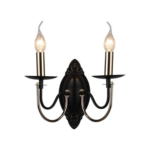 Бра Seven Fires Kali WD3540/2W-CF-FGD-CL Бра Seven Fires Kali WD3540/2W-CF-FGD-CL