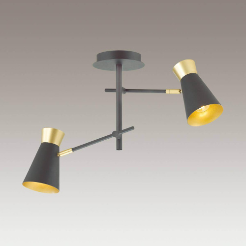 Подвесная люстра Lumion Liam 3790/2C Подвесная люстра Lumion Liam 3790/2C