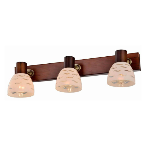 Спот Toplight Shayla TL3730Y-03BB Спот Toplight Shayla TL3730Y-03BB