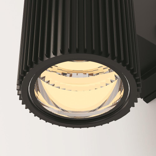 Настенный светильник Maytoni Outdoor O419WL-02B Настенный светильник Maytoni Outdoor O419WL-02B