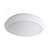 Уличный светодиодный светильник Kanlux Daba PRO 26W NW-SE-W 19066
