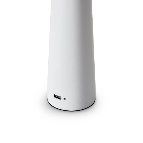 Настольный светильник Freya FR6188TL-L3W Настольный светильник Freya FR6188TL-L3W