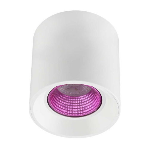 Потолочный светильник Denkirs DK3020WPI DK3090-WH+PI Потолочный светильник Denkirs DK3020WPI DK3090-WH+PI