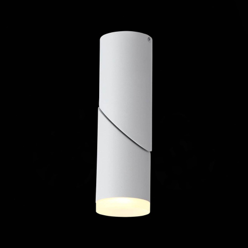 Светодиодный спот ST Luce Tortelle ST107.502.10 Светодиодный спот ST Luce Tortelle ST107.502.10