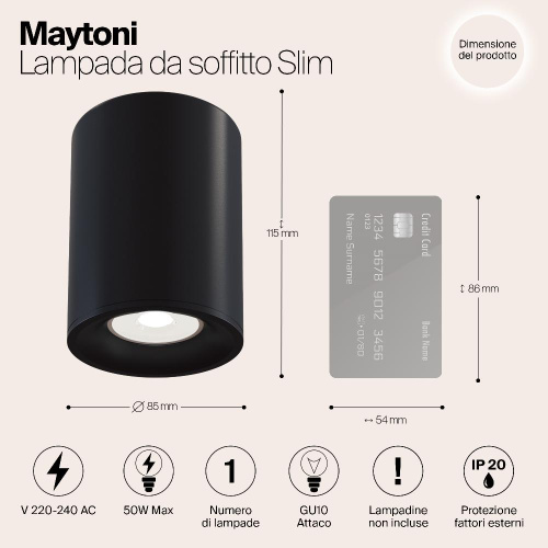 Потолочный светильник Maytoni Alfa C012CL-01B