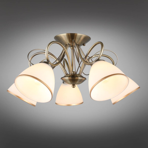 Потолочная люстра Omnilux Alimini OML-25307-05 Потолочная люстра Omnilux Alimini OML-25307-05