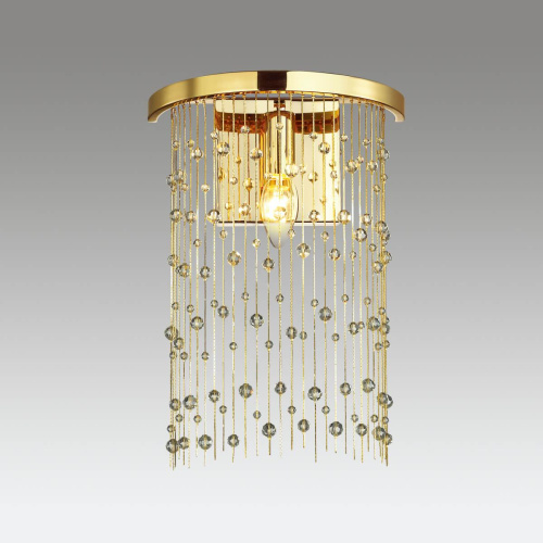 Настенный светильник Odeon Light Raini 4844/1W Настенный светильник Odeon Light Raini 4844/1W