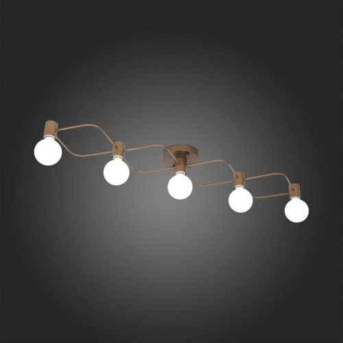 Потолочная люстра ST Luce Tavere SL413.212.05 Потолочная люстра ST Luce Tavere SL413.212.05