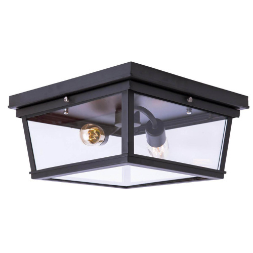 Потолочный светильник Loft IT Loft3110-2C Потолочный светильник Loft IT Loft3110-2C