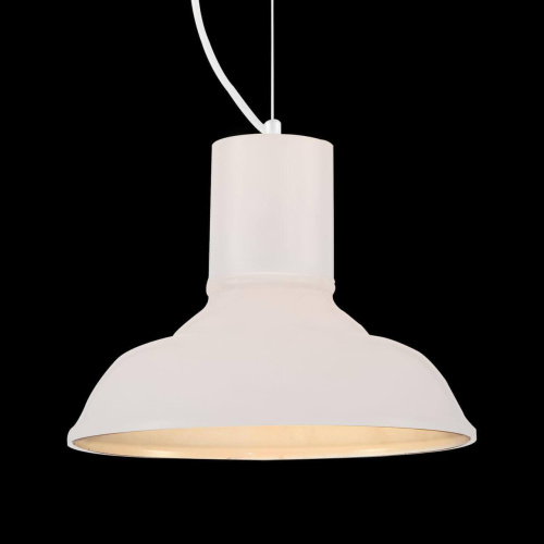 Подвесной светильник ST Luce SL339.503.01 Подвесной светильник ST Luce SL339.503.01